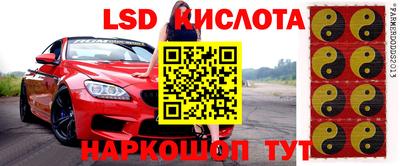 шишки Новодвинск