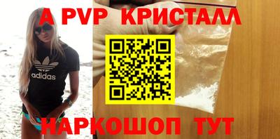 шишки Новодвинск