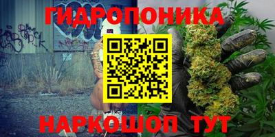 МДМА Новозыбков