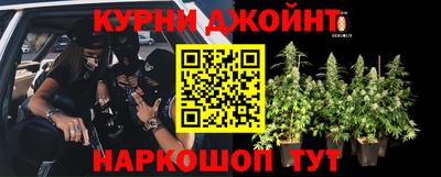 МДМА Новозыбков