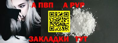 шишки Новодвинск