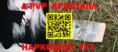 шишки Новодвинск