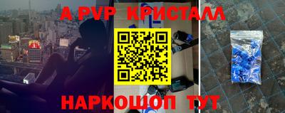 шишки Новодвинск