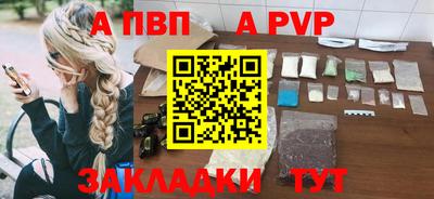 шишки Новодвинск