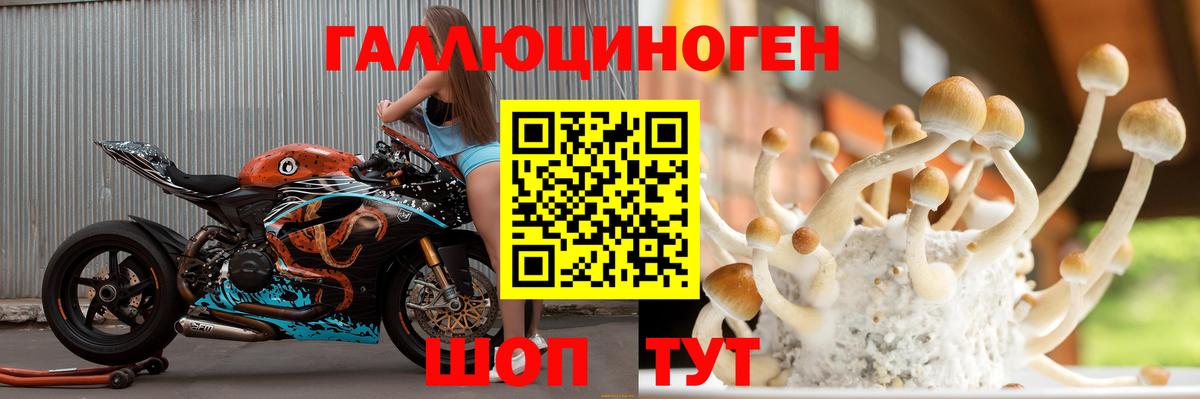 Псилоцибиновые грибы MAGIC MUSHROOMS Славгород