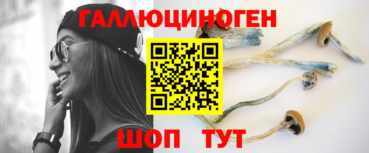 Славгород  Галлюциногенные грибы Cubensis  хочу   Вход с VPN 